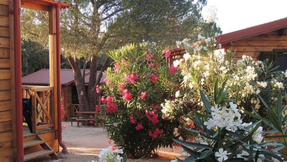קאלבי Feriendorf La Mora מראה חיצוני תמונה